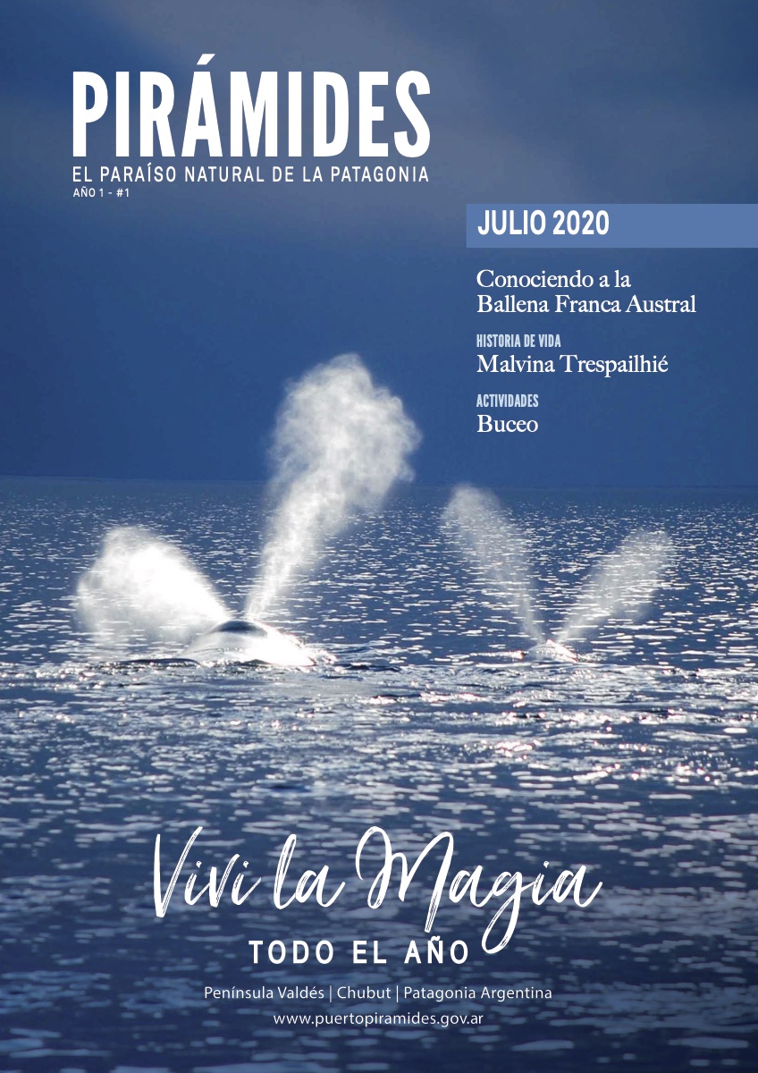 Portada de la revista Pirámides de julio de 2020